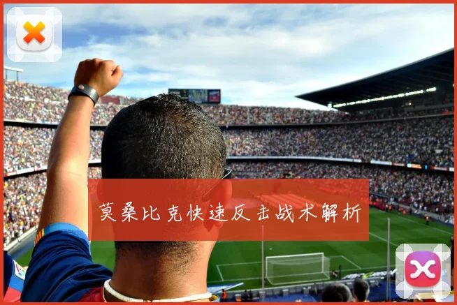 莫桑比克快速反击战术解析