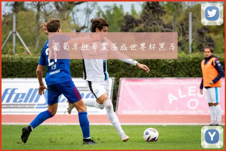 葡萄牙胜率震荡成世界杯黑马