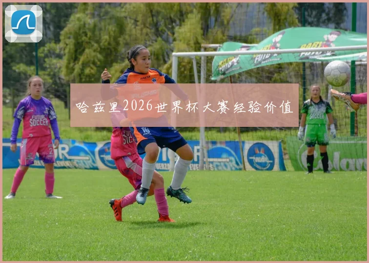 哈兹里2026世界杯大赛经验价值