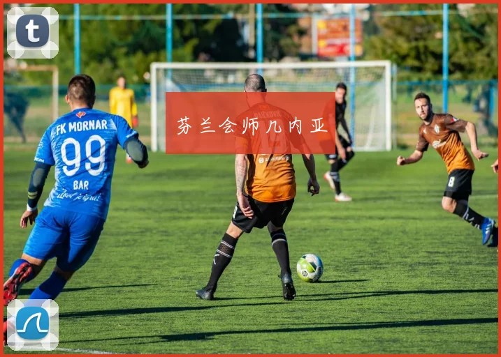 芬兰会师几内亚