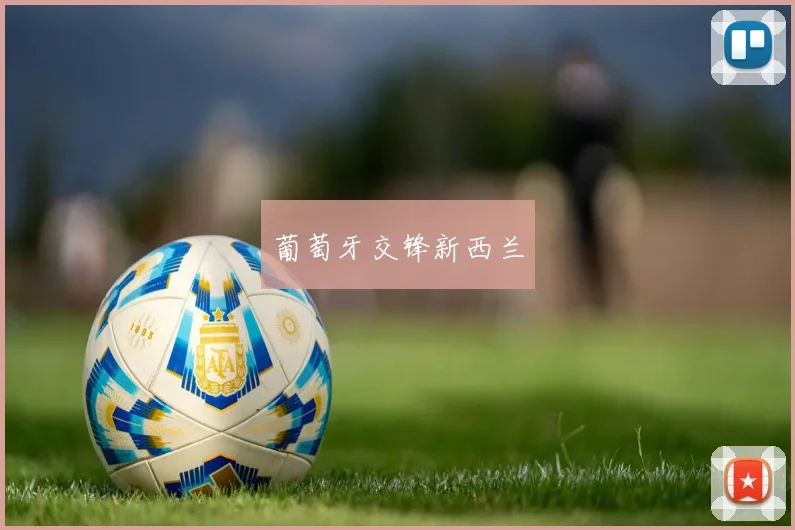 葡萄牙交锋新西兰