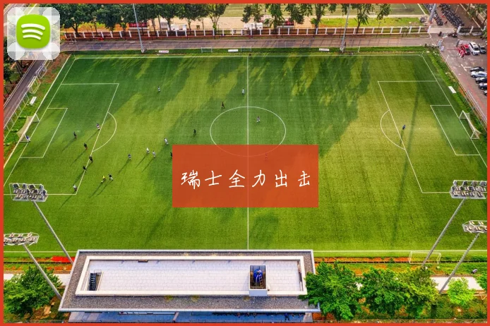 瑞士全力出击