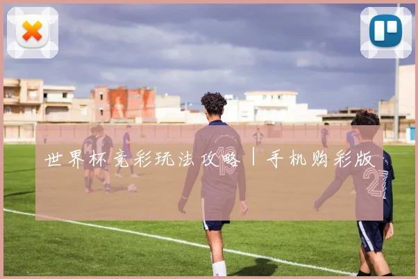 世界杯竞彩玩法攻略｜手机购彩版