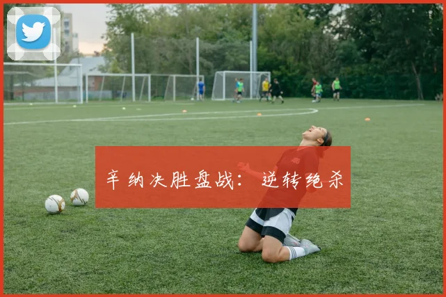 辛纳决胜盘战：逆转绝杀