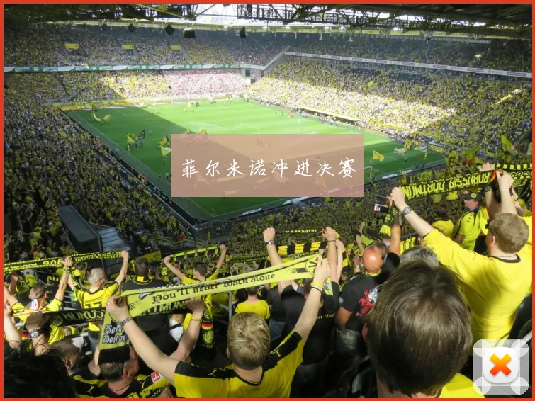 菲尔米诺冲进决赛