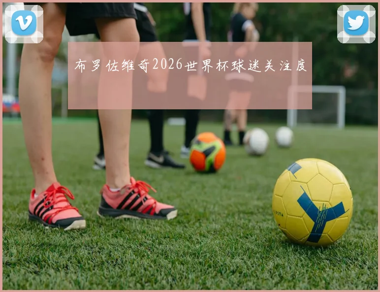 布罗佐维奇2026世界杯球迷关注度