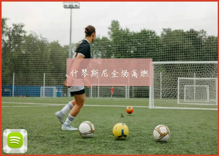 什琴斯尼全场高燃