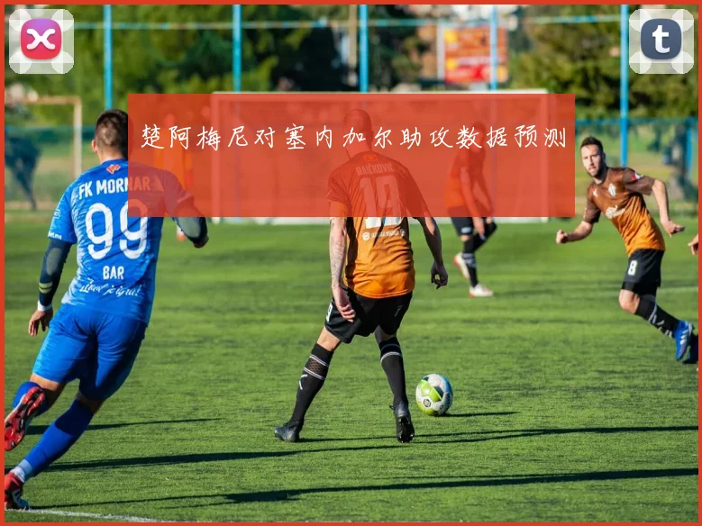 楚阿梅尼对塞内加尔助攻数据预测