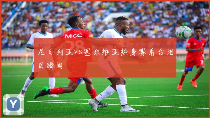 尼日利亚vs塞尔维亚热身赛看台泪目瞬间