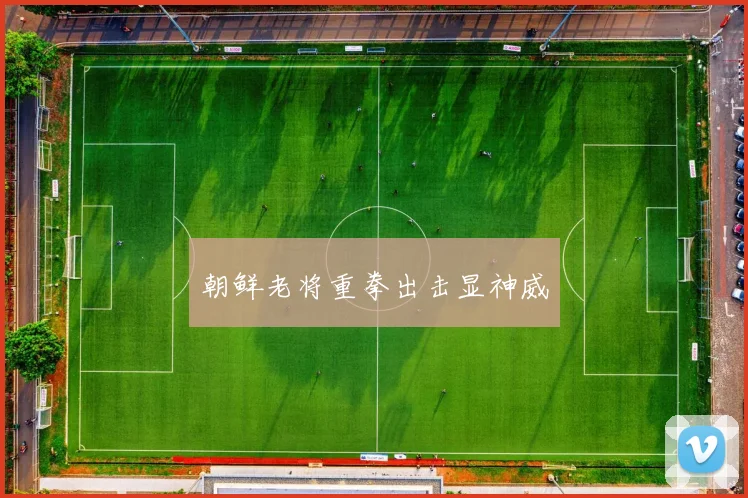 朝鲜老将重拳出击显神威