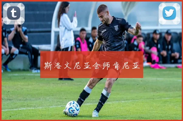 斯洛文尼亚会师肯尼亚