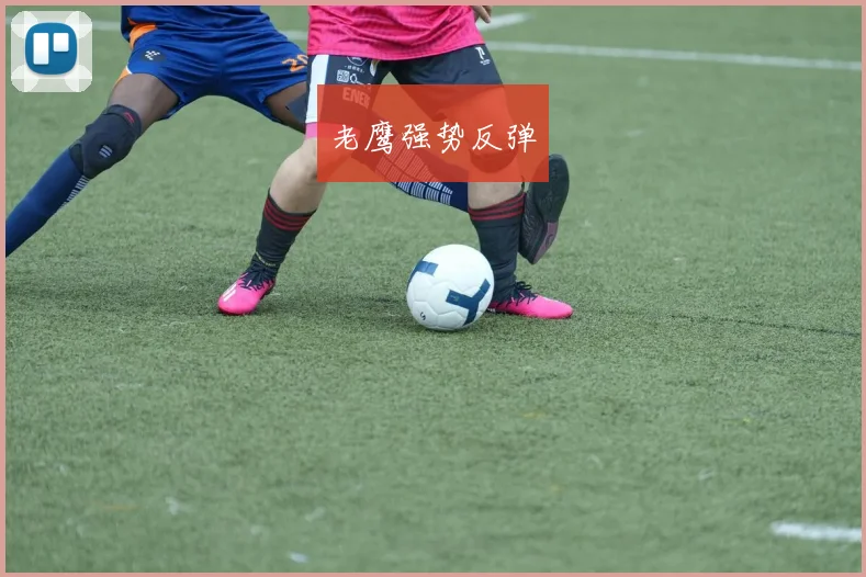 老鹰强势反弹