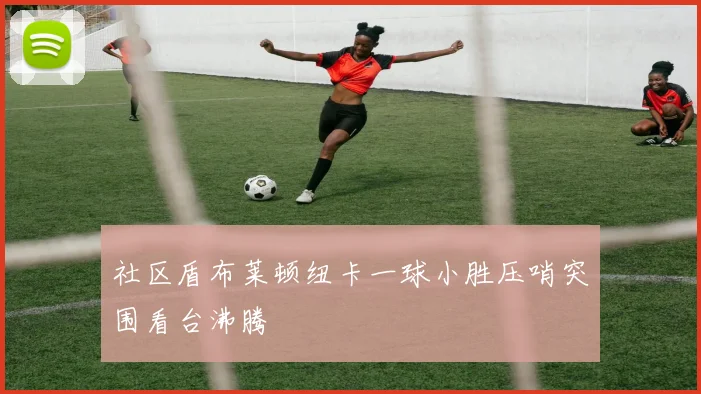 社区盾布莱顿纽卡一球小胜压哨突围看台沸腾