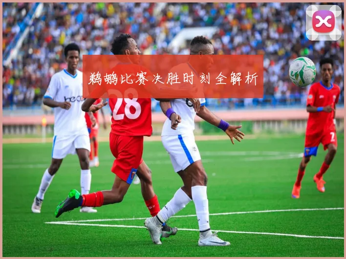 鹈鹕比赛决胜时刻全解析