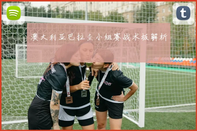 澳大利亚巴拉圭小组赛战术板解析